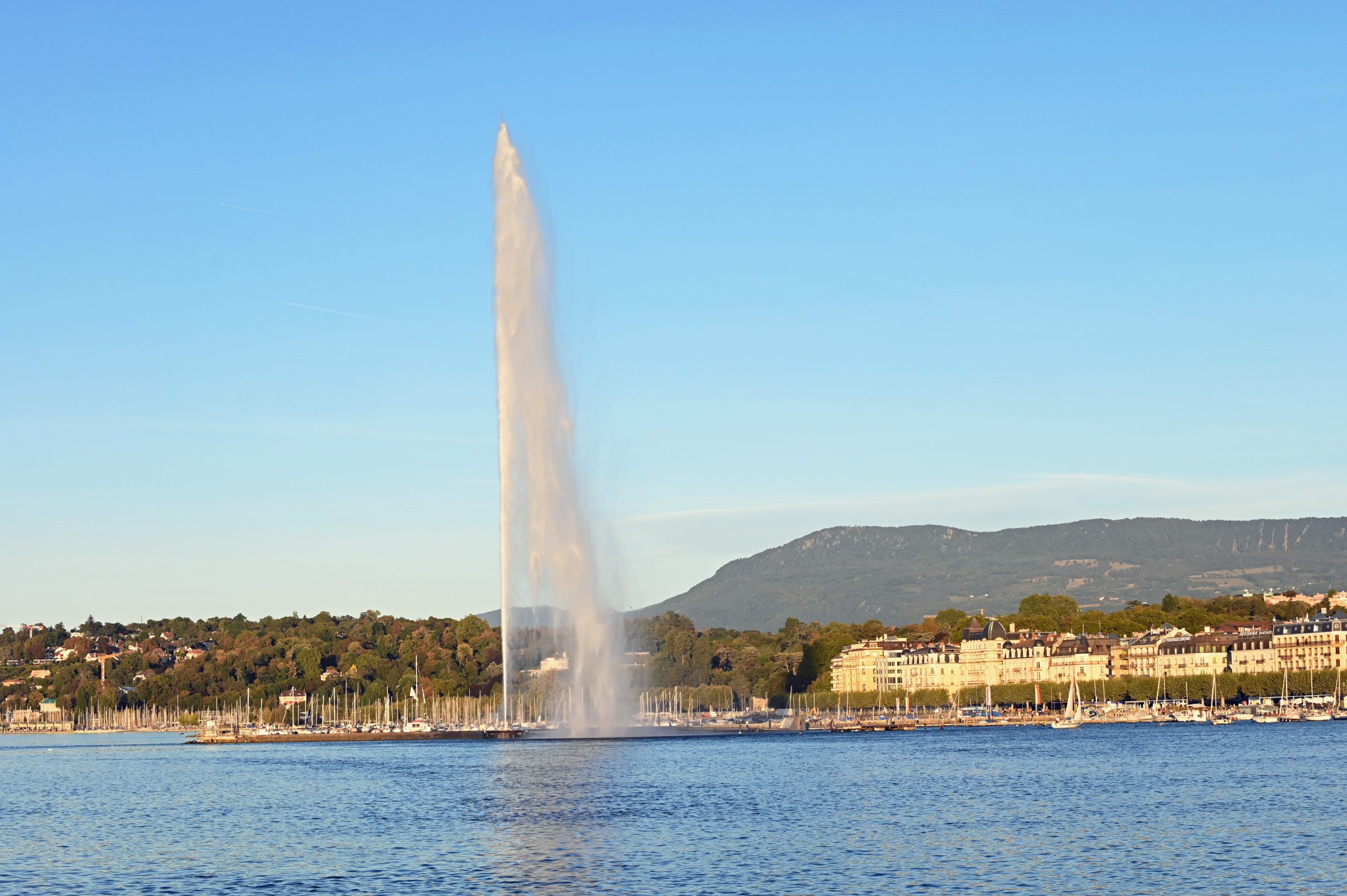 DSC_6599_1